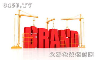 品牌建設與管理 在競爭大環境下構筑企業核心優勢